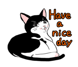 Cute Cat (English ver.) sticker #7526049