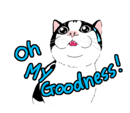 Cute Cat (English ver.) sticker #7526052