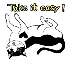 Cute Cat (English ver.) sticker #7526053