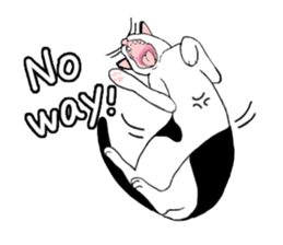 Cute Cat (English ver.) sticker #7526057