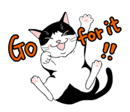 Cute Cat (English ver.) sticker #7526062