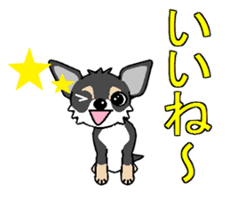 I Love Chihuahua sticker #7526876