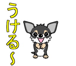 I Love Chihuahua sticker #7526878