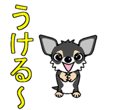 I Love Chihuahua sticker #7526878