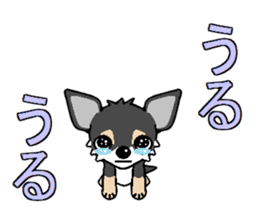 I Love Chihuahua sticker #7526879