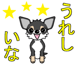 I Love Chihuahua sticker #7526880