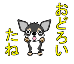 I Love Chihuahua sticker #7526882