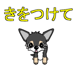 I Love Chihuahua sticker #7526891