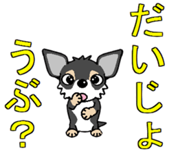 I Love Chihuahua sticker #7526896