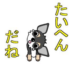 I Love Chihuahua sticker #7526897