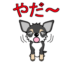 I Love Chihuahua sticker #7526903