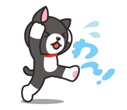 Nya-san of black cat sticker #7527792