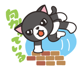 Nya-san of black cat sticker #7527800