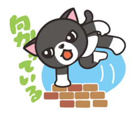 Nya-san of black cat sticker #7527800