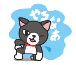 Nya-san of black cat sticker #7527802