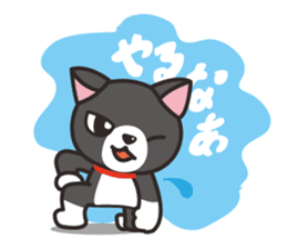 Nya-san of black cat sticker #7527802