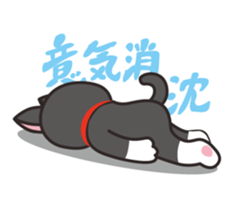 Nya-san of black cat sticker #7527813