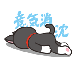 Nya-san of black cat sticker #7527813