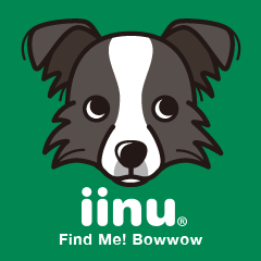 iinu - Border Collie