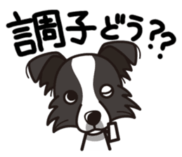 iinu - Border Collie sticker #7527869
