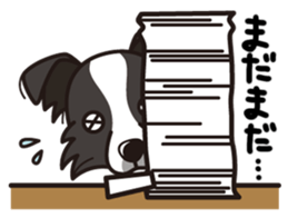 iinu - Border Collie sticker #7527872