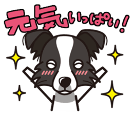 iinu - Border Collie sticker #7527875