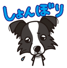 iinu - Border Collie sticker #7527877