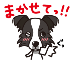 iinu - Border Collie sticker #7527881