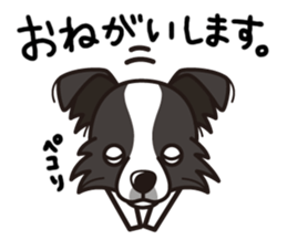 iinu - Border Collie sticker #7527883