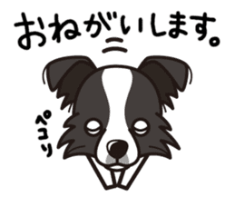 iinu - Border Collie sticker #7527883