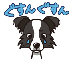 iinu - Border Collie sticker #7527886