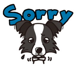 iinu - Border Collie sticker #7527890