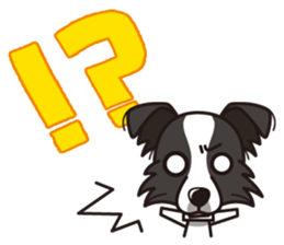 iinu - Border Collie sticker #7527891