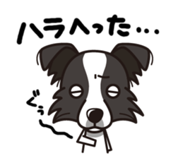 iinu - Border Collie sticker #7527892