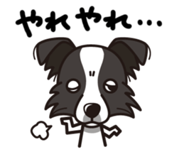 iinu - Border Collie sticker #7527895