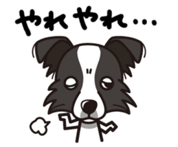 iinu - Border Collie sticker #7527895