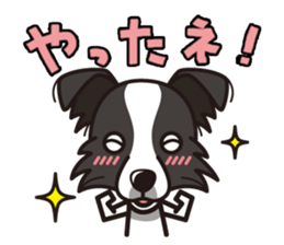 iinu - Border Collie sticker #7527897