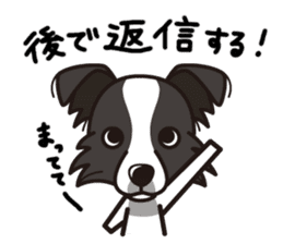 iinu - Border Collie sticker #7527901