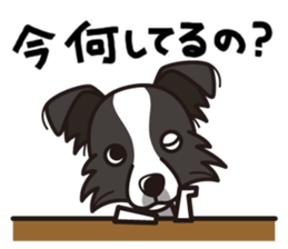 iinu - Border Collie sticker #7527902