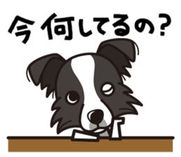 iinu - Border Collie sticker #7527902