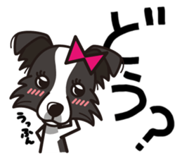 iinu - Border Collie sticker #7527903