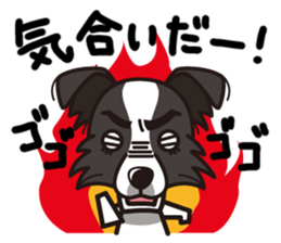 iinu - Border Collie sticker #7527904