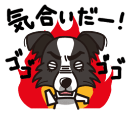 iinu - Border Collie sticker #7527904