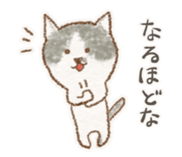 My bicolor cat sticker #7531353