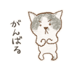 My bicolor cat sticker #7531356