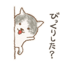 My bicolor cat sticker #7531358