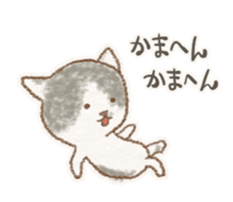 My bicolor cat sticker #7531365