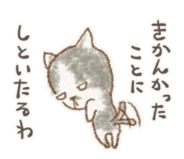 My bicolor cat sticker #7531367