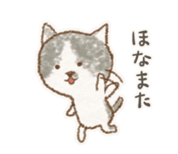 My bicolor cat sticker #7531372