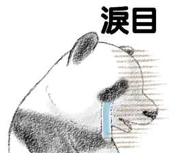 Panda Sticker(Traditional Chinese) sticker #7532953